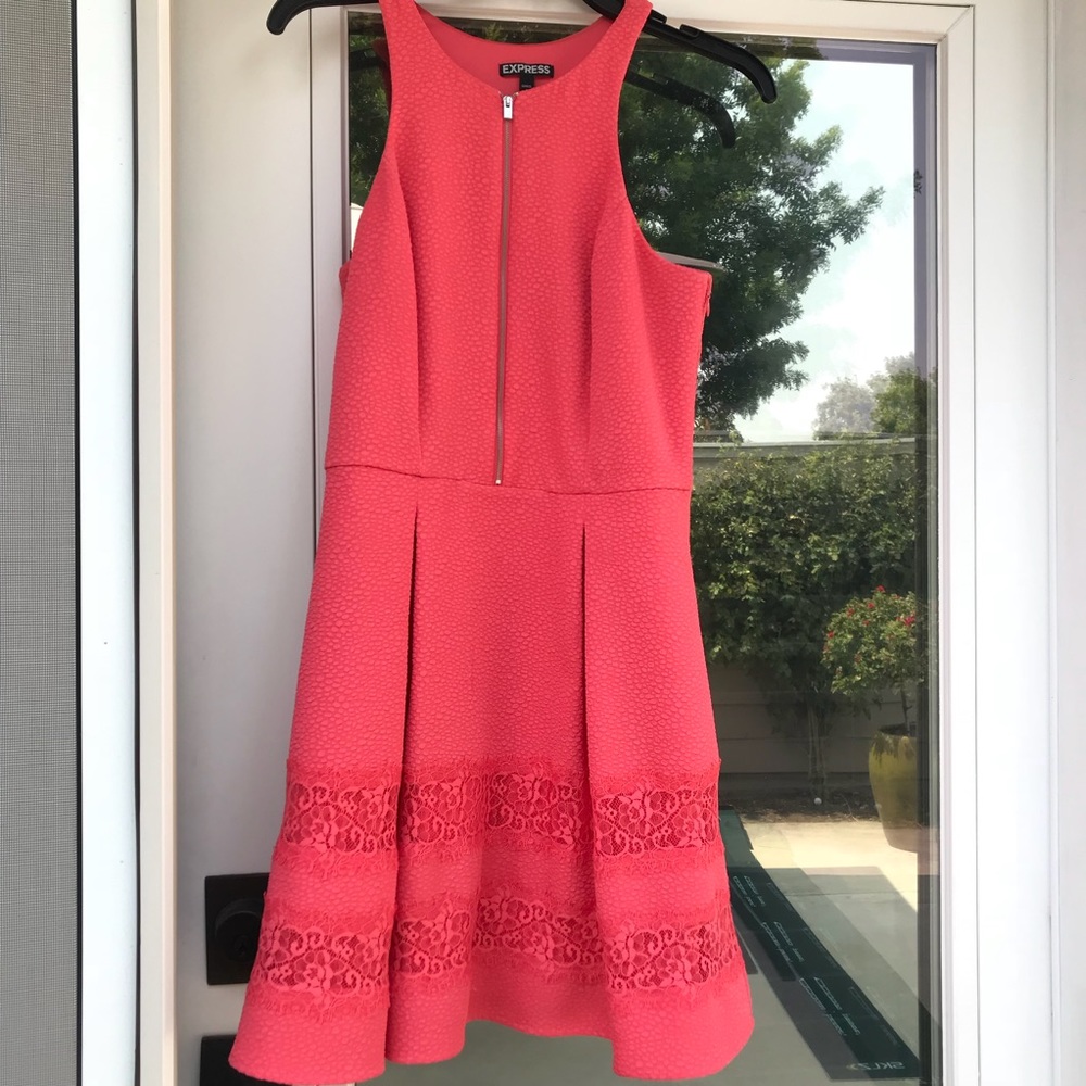 Express Mini Pleated Dress
